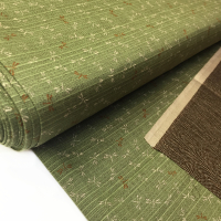 Double-Face Libelle Seighaia grün braun