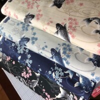 Grey Carps on light grey