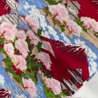 japanischer Stoff Asanoha blau